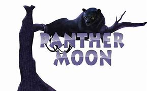 Panther Moon Modal 10 Juta Rupiah Indonesia